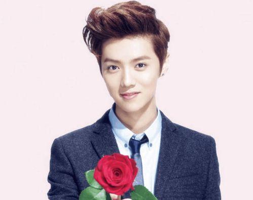 鹿晗学生爆料是真的吗视频,鹿晗学生爆料视频真实性揭秘  第1张